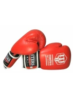 Boxerské rukavice MASTERS RBT-A (ZMĚNA CENY)