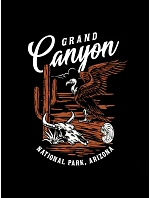 Pánské bavlněné tričko s potiskem Grand Canyon černé FashionStreet NX059R