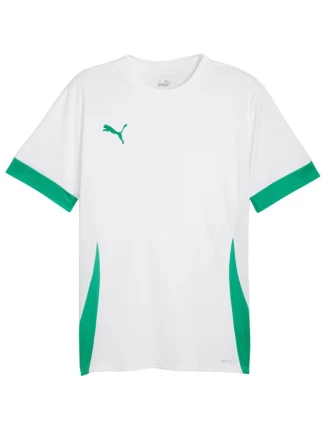 Pánský dres Puma teamGoal Matchday Jersey white and green 705747 15 pánské