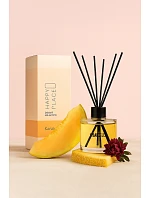 Melon 120 ml – domácí vůně Melon 120 ml – domácí vůně