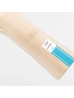 HOBBY INSTINKT raketa