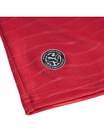 Pánský dres Puma FPF Home Jersey Replica red 788141 77 pánské