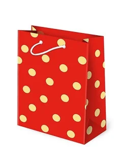 PAW bag T-4L Set 142 Grochy A'10