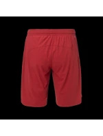 Pánské šortky IKELN