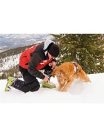 TELESKOP CAR SNOW SHOVEL EVEREST 68,5-71,5-82CM dětské