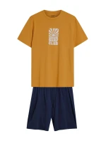 Pánské pyžamo 42600 Sun yellow - HENDERSON