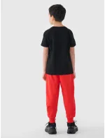 Chlapecké tepláky 4F