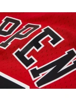 Mitchell & Ness pánské Chicago Bulls NBA Swingman Jersey Scottie Pippen #33 SMJYGS18153-CBUSCAR97SPIN panské