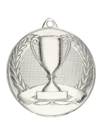 Celková stříbrná medaile s pohárem