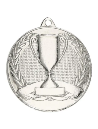 Celková stříbrná medaile s pohárem