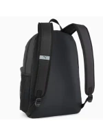 Pleack Puma Phase 091164-01