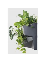 VERTIKÁLNÍ ZAHRADNÍ KVĚTINY 4SET ANTHRACITE dětské