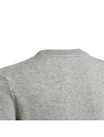 Dívky Big Logo Swt Jr HM8706 - Adidas Dívky Big Logo Swt Jr HM8706 - Adidas