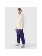 Pánské tepláky typu jogger 4F 4FWMM00TTROM1139-31S Pánské tepláky typu jogger 4F 4FWMM00TTROM1139-31S