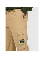 Pánské volnočasové kalhoty 4F 4FRAW25TTROM1690-83S