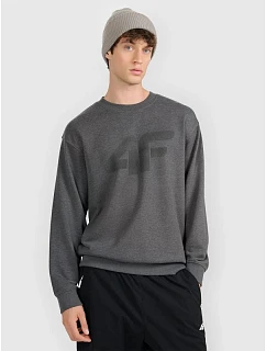 Pánská mikina bez kapuce 4F 4FRMM00TSWSM2479-23M