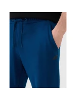 Kalhoty 4F M 4FWMM00TTROM1139-46S