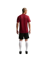 Nike Dri-Fit Park VIII pánské tričko bordó HV8173 677 pánské