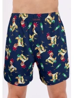 Pánské trenýrky Cornette Classic 001/186 