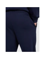 Pánské tepláky typu jogger 4F 4FRMM00TTROM1624-31S