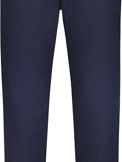 Daiber JN 36 Pánské tepláky 02.0036 navy