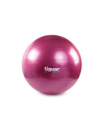 Tiguar safety plus ball 65 cm TI-SP0065S