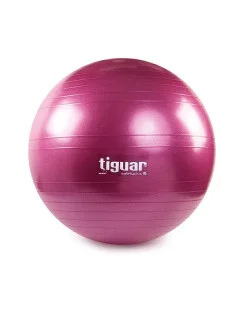 Tiguar safety plus ball 65 cm TI-SP0065S