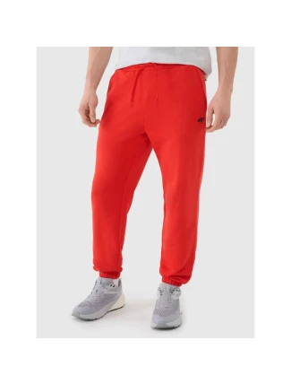 Pánské tepláky typu jogger 4F 4FWMM00TTROM1139-62S