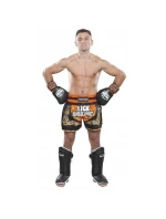 TOP TEN "KICKBOXING" Thajské šortky NEON