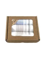 Ega CH-796 pánský kapesník A'3 Ega CH-796 pánský kapesník A'3