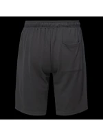 Pánské šortky IGSORI