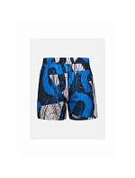 Pánské plavky PEAK PERFORMANCE M Graphic Swim Shorts, modrá barva