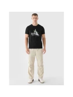 Pánské tričko s potiskem 4F 4FRAW24TTSHM2301-20S pánské