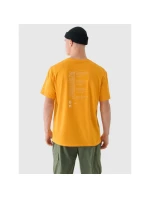 Pánské tričko oversize s potiskem 4F 4FRAW24TTSHM2578-70S