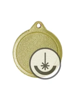 Laserem gravírovaná medaile - RMI