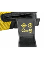 Boxerské rukavice RPU-BLACK 012325-0210 Boxerské rukavice RPU-BLACK 012325-0210