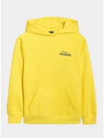 Chlapecká mikina 4F Chlapecká mikina 4F