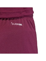 Pánské šortky adidas Entrada 26 bordó JZ2514