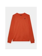 Pánská mikina 4F 4FWMM00TSWSM1767-62S s kapucí bez svetru