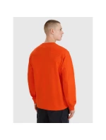 Pánská mikina s kapucí 4F 4FRSS25TSWSM2179-70S pánské