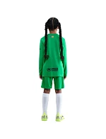 Dětské šortky Nike FC Barcelona 2025/26 Stadium Goalkeeper green HQ0475 310