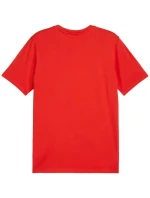 Puma Team Goal Casuals Tee M 658615 01 pánské Puma Team Goal Casuals Tee M 658615 01 pánské