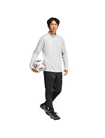 Pánské tričko adidas Entrada 26 Training Top grey JZ6654 pánské