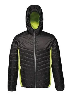 Pánská bunda Regatta Lake Placid Jcket M TRA464 2XG