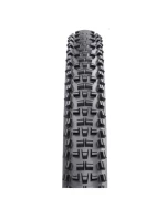 Pneumatiky WTB 29x2.25 TRAIL BOSS TCS LFR 60 TPI SG2