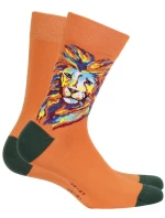 Vzorované pánské ponožky PERFECT MAN-CASUAL