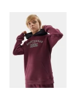 Mikina 4F Jr 4FJAW23TSWSM651-60S