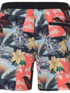 Pánské plážové šortky Protest PRTLOCKLAN (P2711821/331)