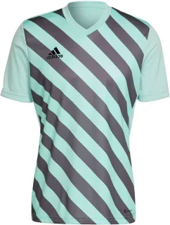 Pánský dres Entrada 22 Graphic Jersey M HF0119 - Adidas