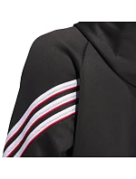 Mikina adidas Basketball Crazy Warm Hoody M JN2491 pánské